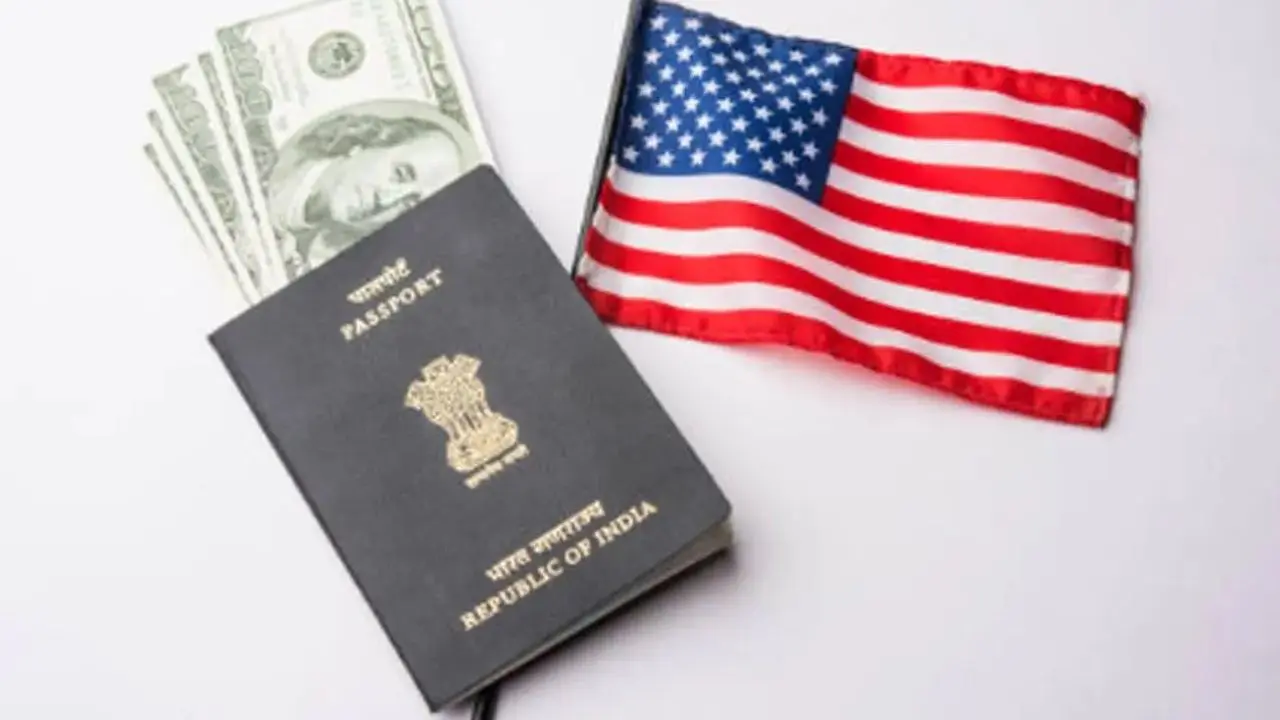 H-1B visa fee hike will have limited impact on Indian IT firms, says analysts