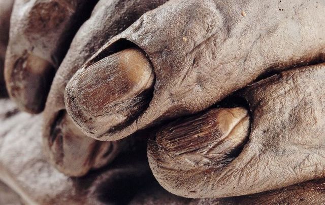 The truth about Irish bog bodies