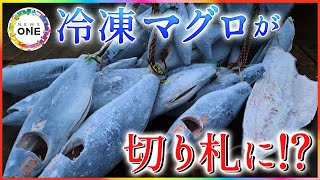 Turning Frozen Tuna Into a New Energy-Saving Business