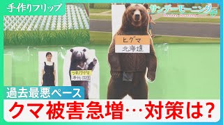 Bear Attacks Surge as Fatality Rate Reaches 24%