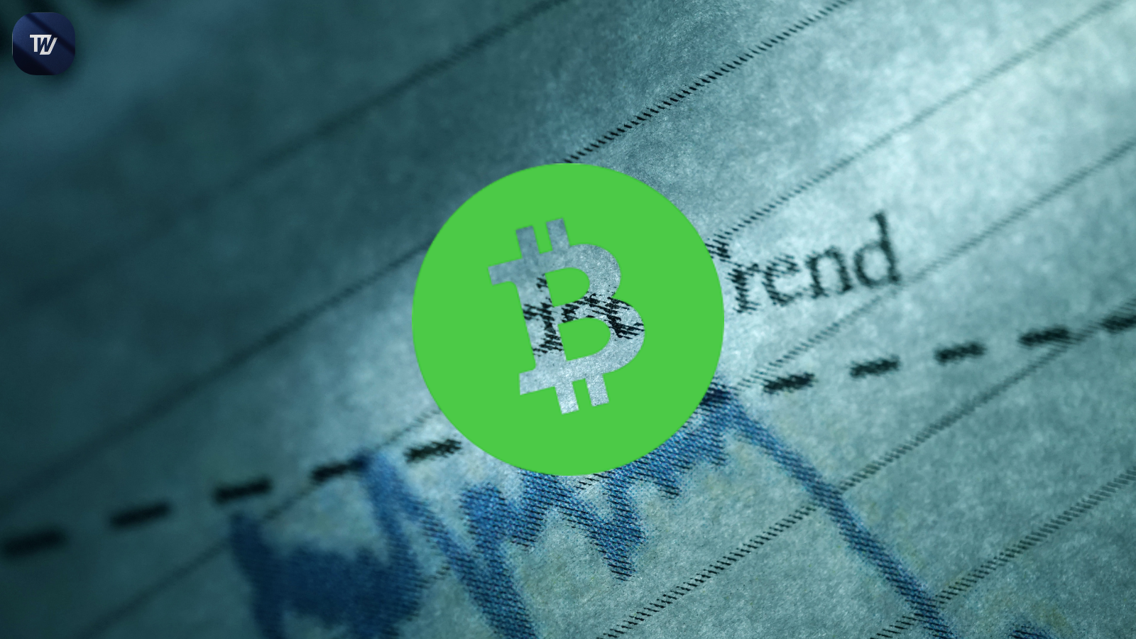 Bitcoin Cash Forecast 2025: Will BCH Skyrocket to $1,300 or Crash to $530?